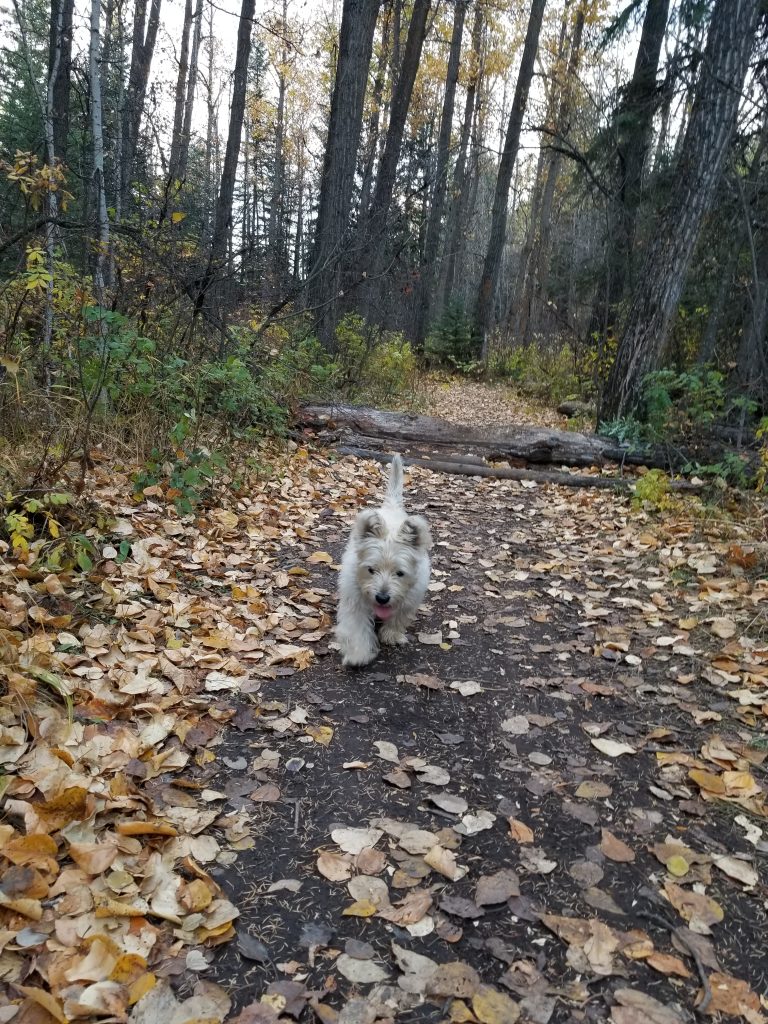 Exercise in nature